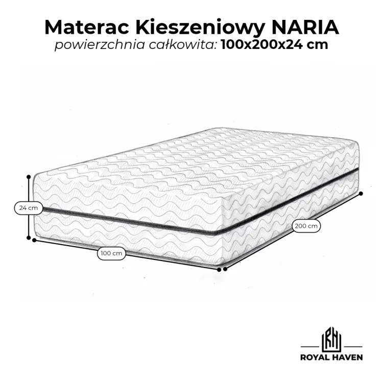 NARIA100.png